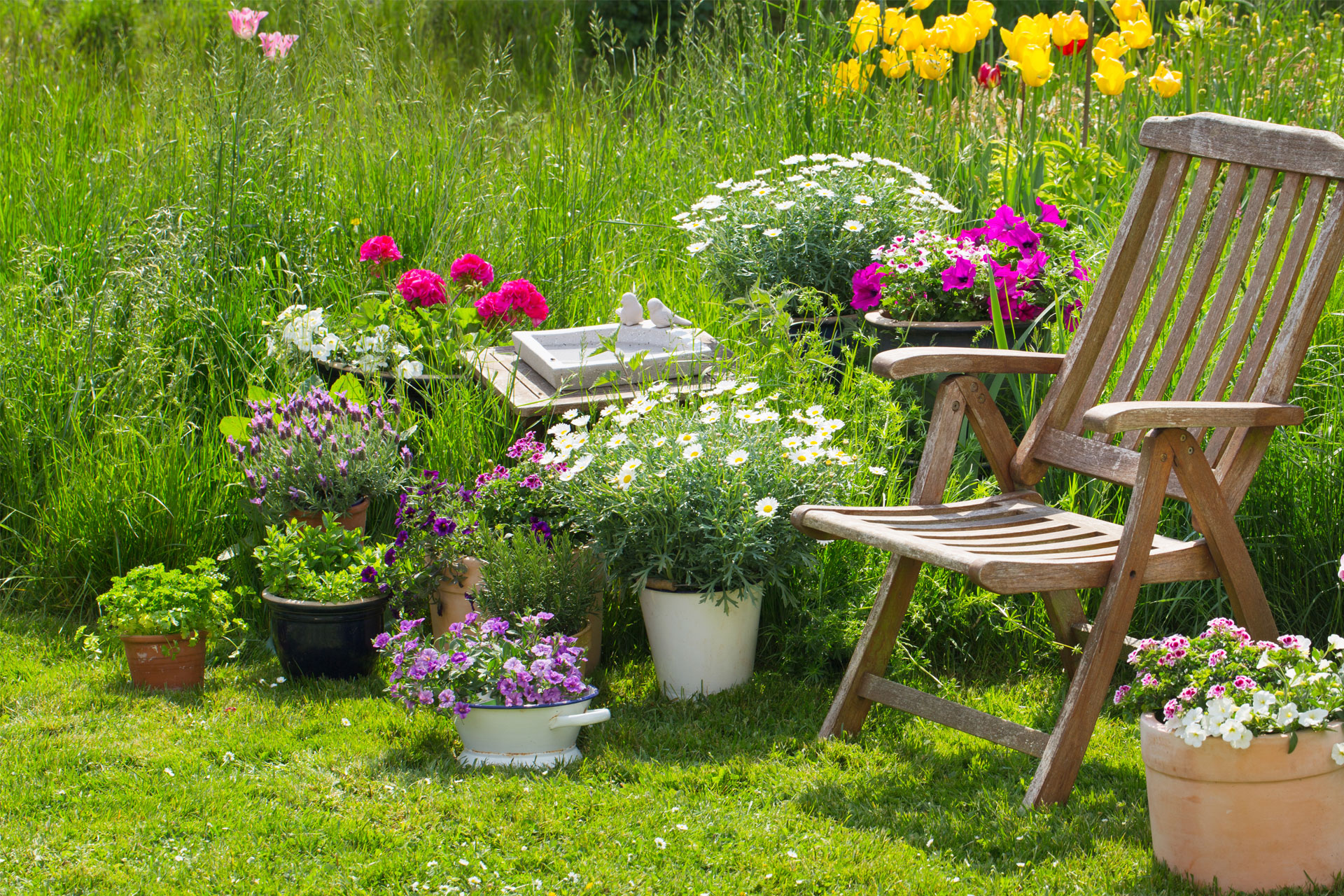 ferienwohnung erfurt privat ferienwohnung erfurt privat